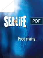 Eeu 220 Foodchains Grades3-6 Powerpoint