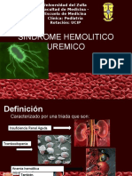 Diapositivas de Sindrome Uremico