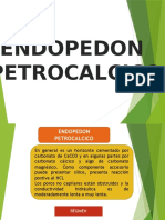 Endopedon Petrocalcico