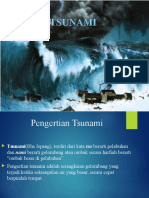 Tsunami PPT Fix