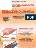 Proteinas del músculo.pdf