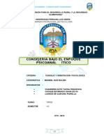 Monografia de Consejeria Por Psicoanalisis