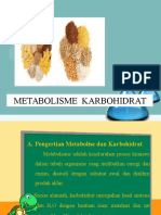 Metabolisme Karbohidrat