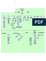 Organization Chart