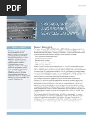 Srx5400 Srx5800 Services Gateway Ds Denial Of Service Attack Computer Network