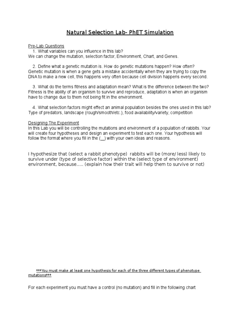 Natural Selection Lab Natural Selection Genetics