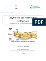 L'asymétrie Des Membranes Biologiques