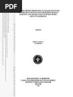 Download Analisis Risiko Produksi Ayam Broiler Pa by TrieTamada VirgieMpuus McCyrusz SN309699392 doc pdf