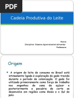Cadeia Produtiva Do Leite
