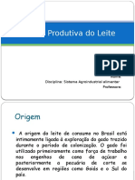 Cadeia Produtiva Do Leite