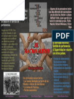 INFOGRAFÍA NACIONALISMO