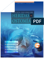 Revista-Hetidas_1.pdf.pdf