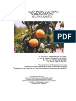 Manual Durazno 2007.pdf