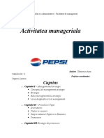 documents.tips_proiect-management-pepsi.docx