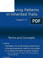 Bio13observing Patterns in Inherited Traits