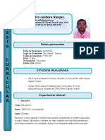 curriculum formato 2 yelfris.doc