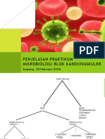 Penjelasan Praktikum Mikrobiologi Blok Kardiovaskuler: Kupang, 18 Februari 2016