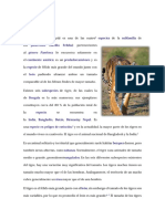 El Tigre PDF