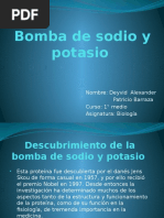 Bomba de Sodio y Potasio