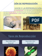 Los Seres Vivos y La Reproducción