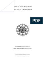 Download Laporan Total Ihl by commaggots SN30977685 doc pdf