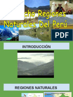 Regiones Naturales Del Perú !