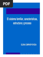 sistema familiar y caracteristicas, estructura y proceso.