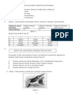 Ot1 thn6 SC k1 VERDANA - PDF PDF