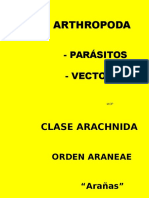 ARTRÓPODOS