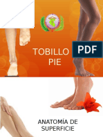 Diapositivas Pie