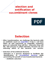 Selection and Identification of Recombinant Clones