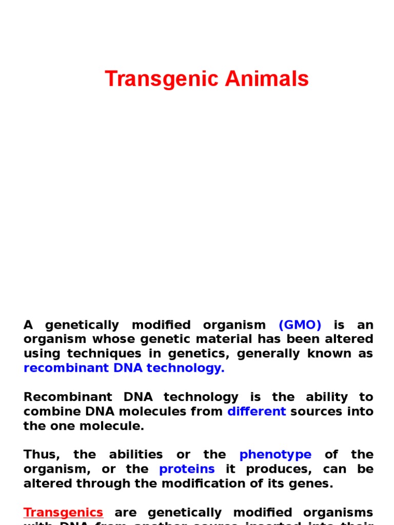 Lecture on transgenic animals.ppt Transgene