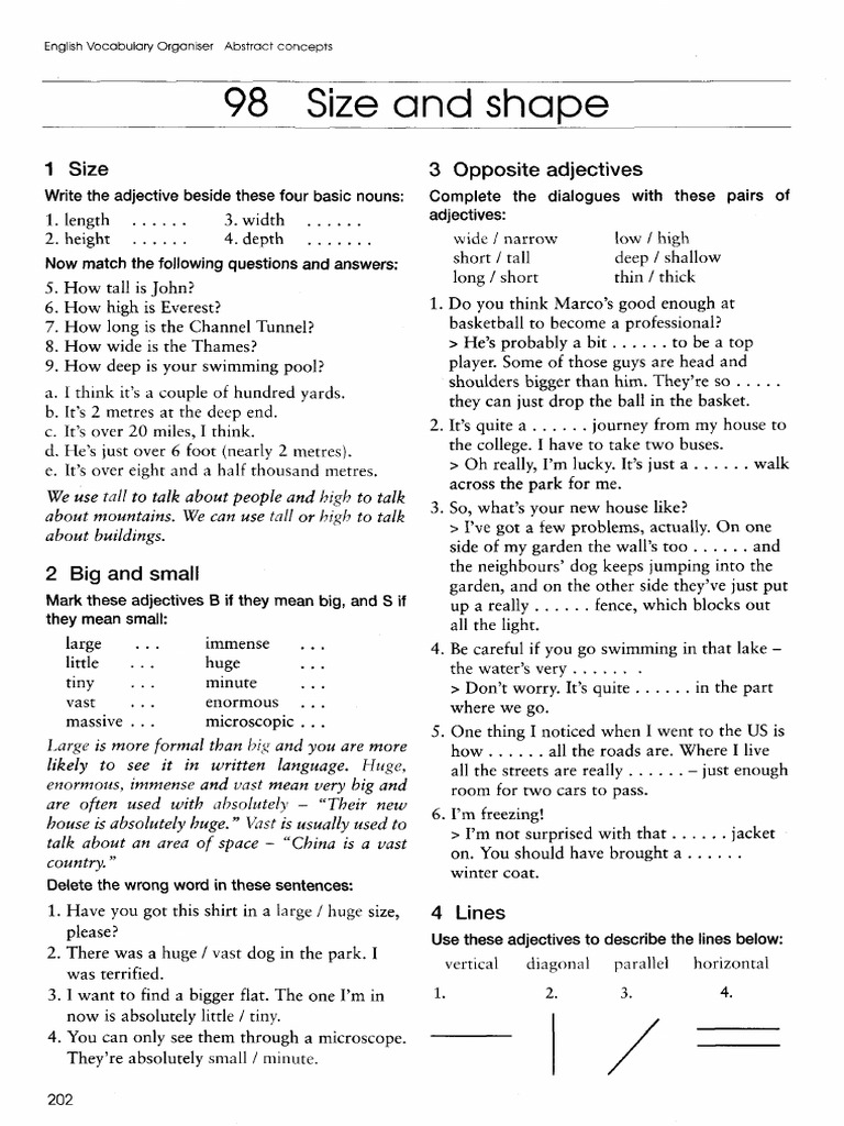 English Vocabulary Size Adn Shape | PDF
