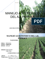 Manejo Agronomico Del Aji Paprika PDF