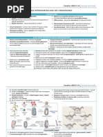 5 Sex Determination and Sex Chromosomes
