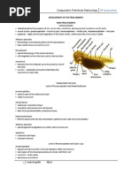 Exercise 4 Frog Embryo 4mm 7mm 10mm