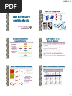 Gene Lecture 9 DNA Structure