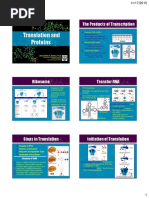 Gene Lecture 12 Translation