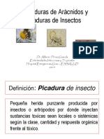 9- Mordeduras y Picaduras Exposicion