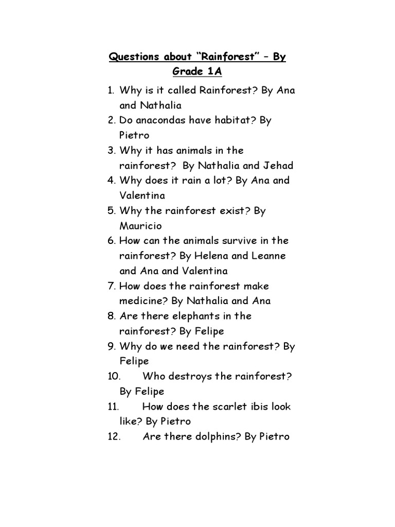 questions about rainforest Rainforest Ecology