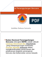 Badan Nasional Penanggulangan Bencana