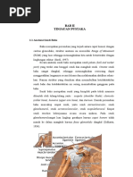 Download Tinjauan Pustaka Sendi Bahu by ukomaksari SN309852796 doc pdf
