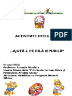  Proiect Activitate Integrata