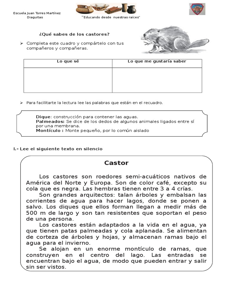 Conociendo a los castores en primaria | PDF | Ciencia y matemáticas