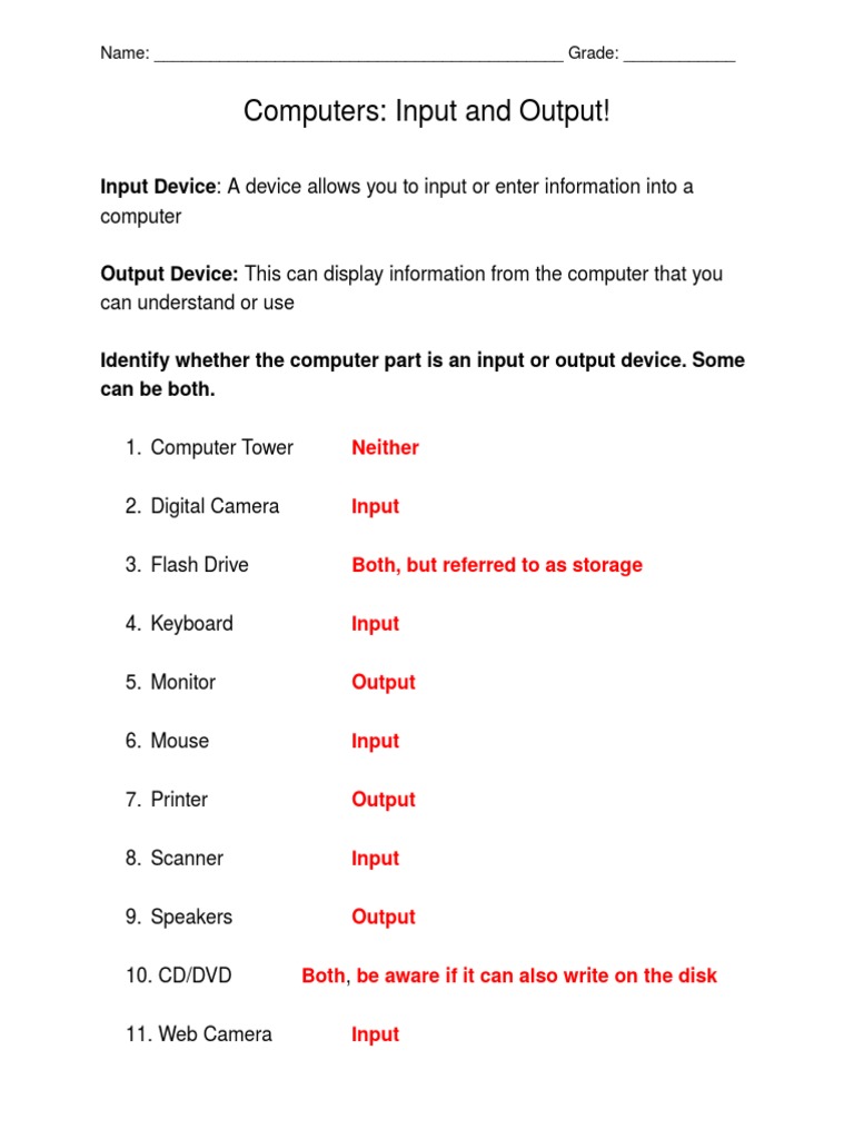 Computer Input Output Worksheet | PDF