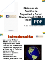 02 Interpretación OHSAS