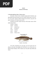 Download LA BAB 2 gelatin ikan gabus by Masayu Tsuroyya SN309900387 doc pdf