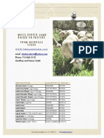 Lamb Retail Availability PDF