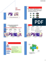 Neoplasias Mieloproliferativas e Introduccion A Neoplasias