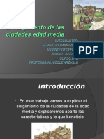 Surgimiento Edad Media